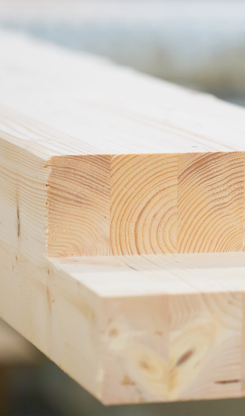 Sortiment Holzbau bei Max Schierer Baustoffe